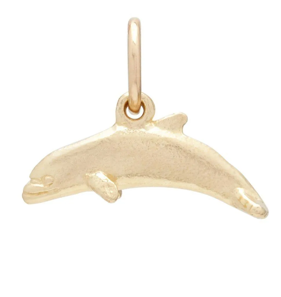 Flat Dolphin Mini Charm